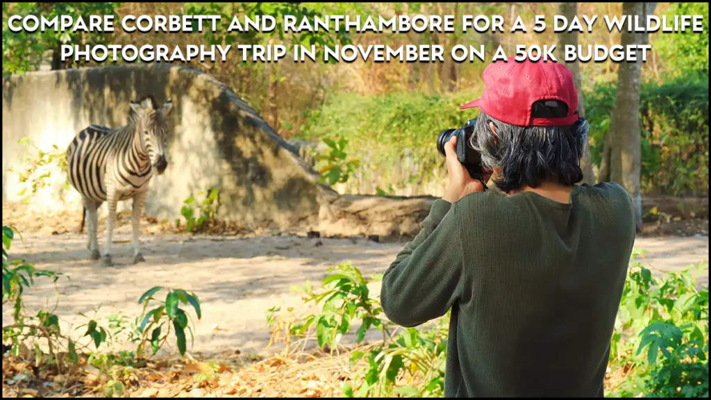 compare corbett and ranthambore for a 5 day wildlife photography trip in november on a 50k budget