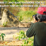 compare corbett and ranthambore for a 5 day wildlife photography trip in november on a 50k budget